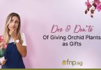 Dos and Don'ts When Giving or Receiving Orchid Plants as Gifts